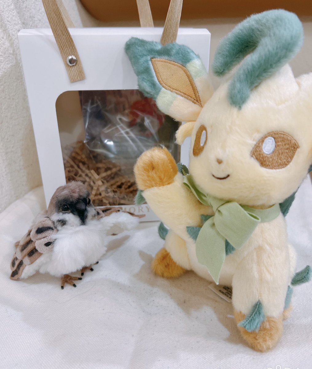 ___letranger's tweet photo. @sosohan611004 소소한 인형공방님한테서 입양한 반려 참새🐥와 자연에 어울리는 리피아🍃
만질수록 부드럽고 볼수록 진짜 같아요 왕신기…💕 정말 멋진 작품 감사드립니다 https://t.co/sy0qOENroo
