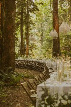 GardenerFliss's tweet photo. I can’t think of a nicer way to spend the day at a party. https://t.co/cgtEI0SBUj