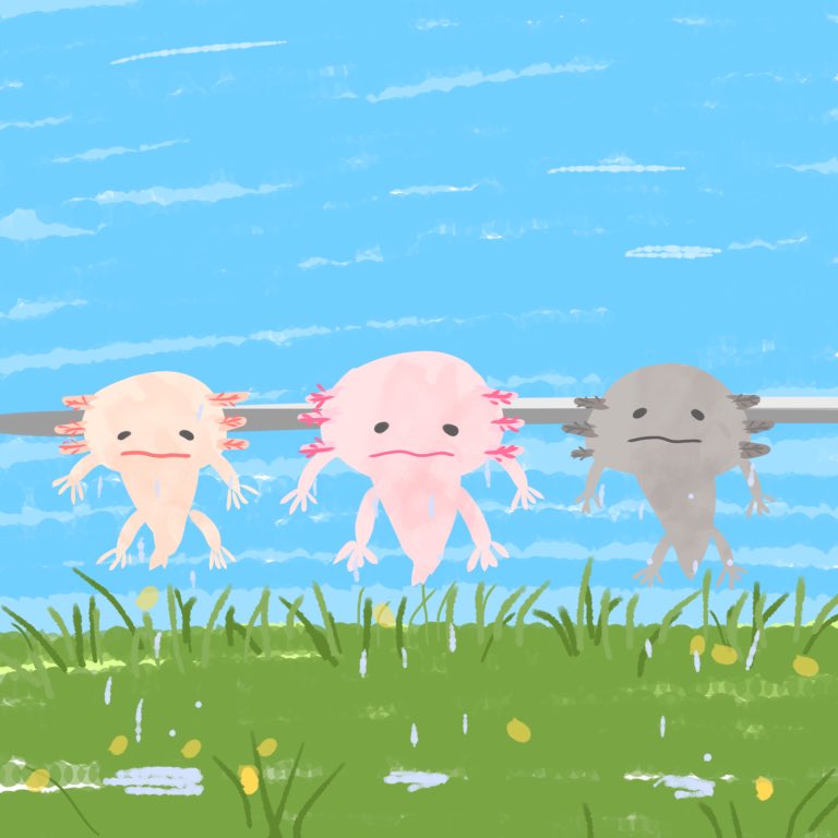 koikenooekakih1's tweet photo. ウパ天日干し☀️
#イラスト #ウーパールーパー https://t.co/sxwtjNEmfh