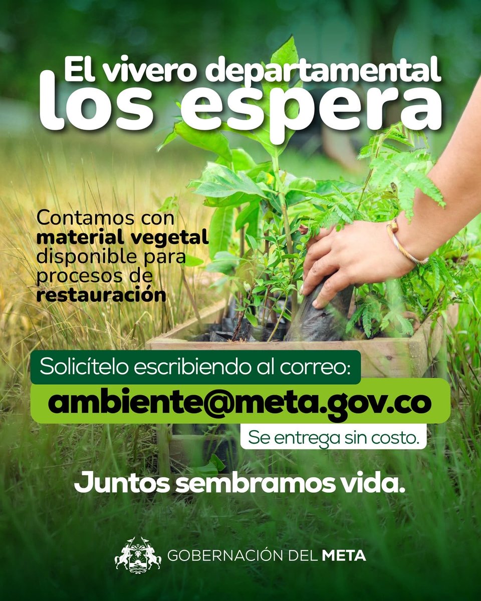 GobMeta's tweet photo. 🌿 ¡El Vivero Departamental del Meta está listo para usted!
Contamos con material vegetal disponible para impulsar procesos de restauración en todo el territorio.

📩 Solicite su material vegetal escribiendo a: ambiente@meta.gov.co https://t.co/lAt5jkdlN6