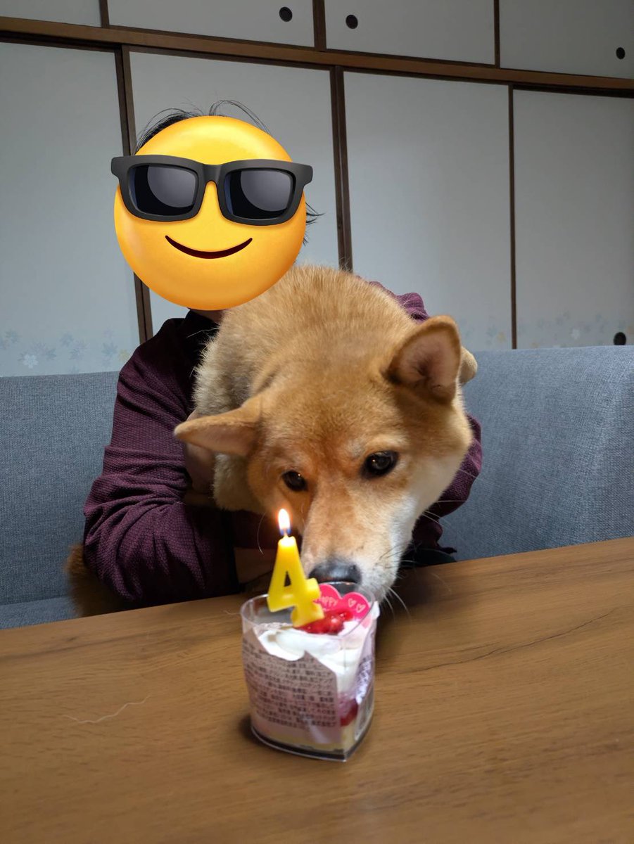 pXxAZxXq's tweet photo. ハッピーバースデーぽんた
4歳🎂 https://t.co/uZqHfYlej6