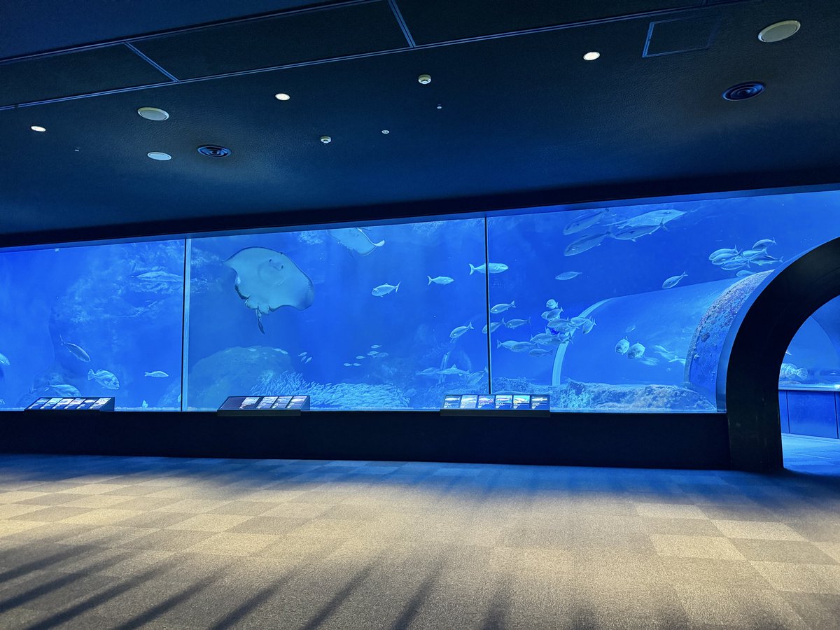 akuro1226's tweet photo. 新潟弾丸旅行楽しかったです！ https://t.co/XK0WR9YweL