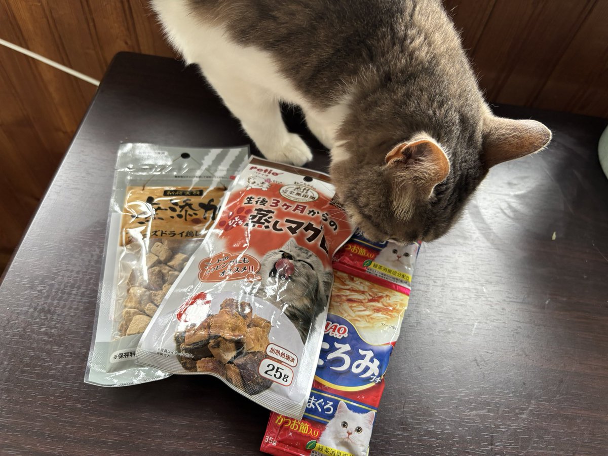 tibiko727's tweet photo. ドンキでおやつ買ってきたわよ!!1番美味しそうな蒸しマグロでも食べますか?
🐱＜やったー!!( 'ч'    )ﾑﾁｬﾑﾁｬ
🐰＜ちょっと!!アタシのは💢💢
 #猫好きさんと繋がりたい  #猫の居るくらし https://t.co/KjEZMOLgwq