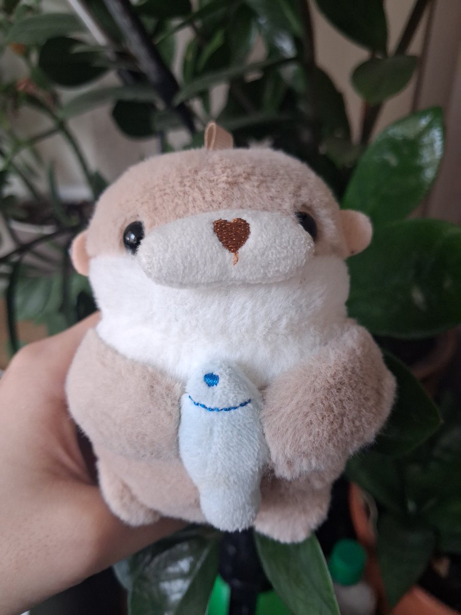 youngshwt's tweet photo. mini otter yechan so cute 🥺🥹 https://t.co/bYJpWDODvl