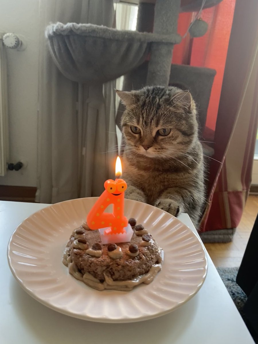 dinsaesthetic's tweet photo. HAPPY 4TH BIRTHDAYYY OLLIEEE🥳🥰 https://t.co/vdy9F6lcm5