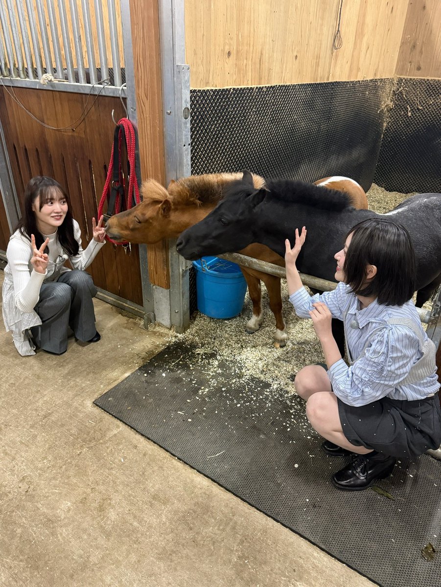 Sakura46Diary's tweet photo. https://t.co/VLvRG9pvd1
#櫻坂46 #大沼晶保 https://t.co/7HdBHTwKh1