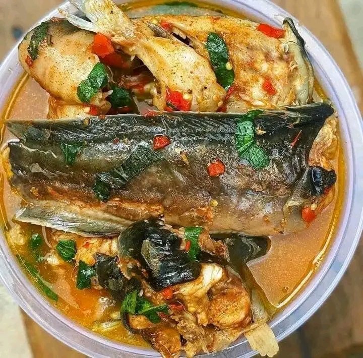 lmblessin's tweet photo. 🐟 EVENING CATFISH PEPPER SOUP 🐟
Work don tire you. Make soup do the rest.

Hot catfish pepper soup + pepper + onions
Delivered hot to ALL SOKA IBADAN
Fast delivery, no waiting

WhatsApp CATFISH to 08034285790
Noodle Plug - Hot soup, cold stress 🔥 https://t.co/ljKqakmLKC
