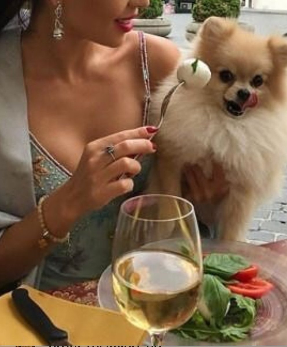 NehirNe33197908's tweet photo. Boyle şirin köpeklere 2 olanı lazim https://t.co/CkqelGs6y6