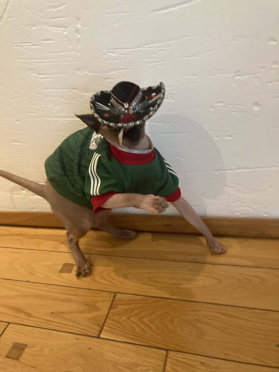 asahi_oden's tweet photo. ソンブレロバージョンも撮りました🇲🇽
ゼェゼェ https://t.co/TYUGLMp91t