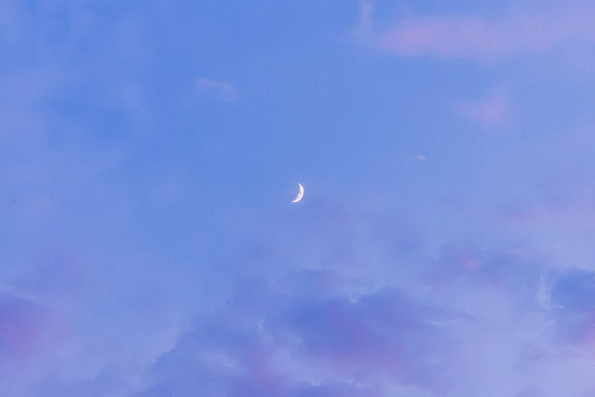 ☁️ tweet media