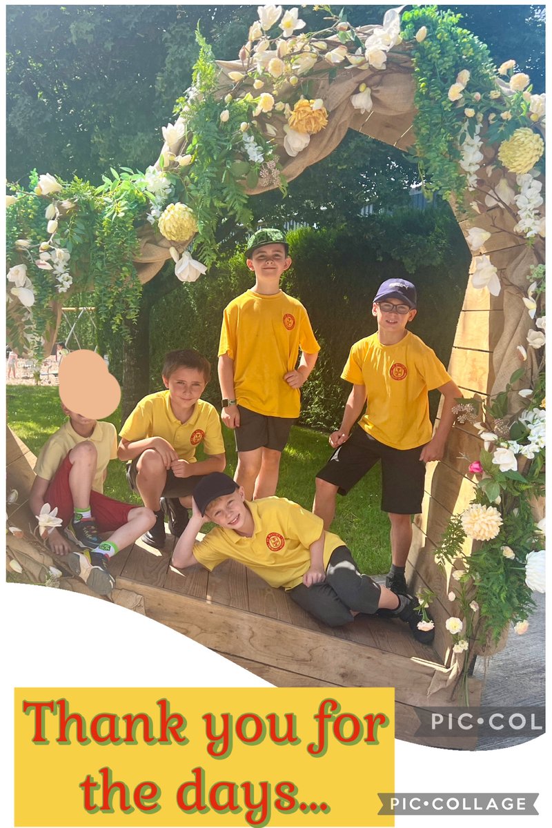St David's RC Primary tweet media