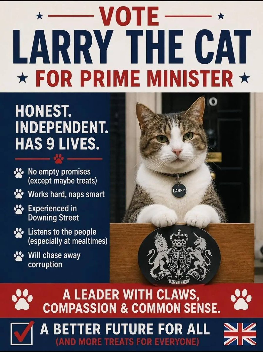 brianwhelton's tweet photo. Vote @Number10cat https://t.co/41Z23FsUvM