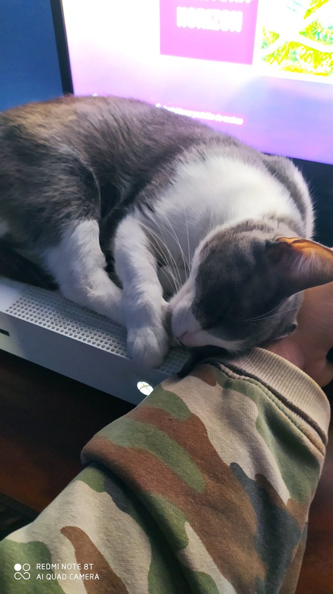ChibitoMitzito's tweet photo. Me vino esto de recuerdo en mi movi,
Ni se cuándo es pero aún sigue siendo esta gata la reina de la casa https://t.co/pfxGsfKkM2