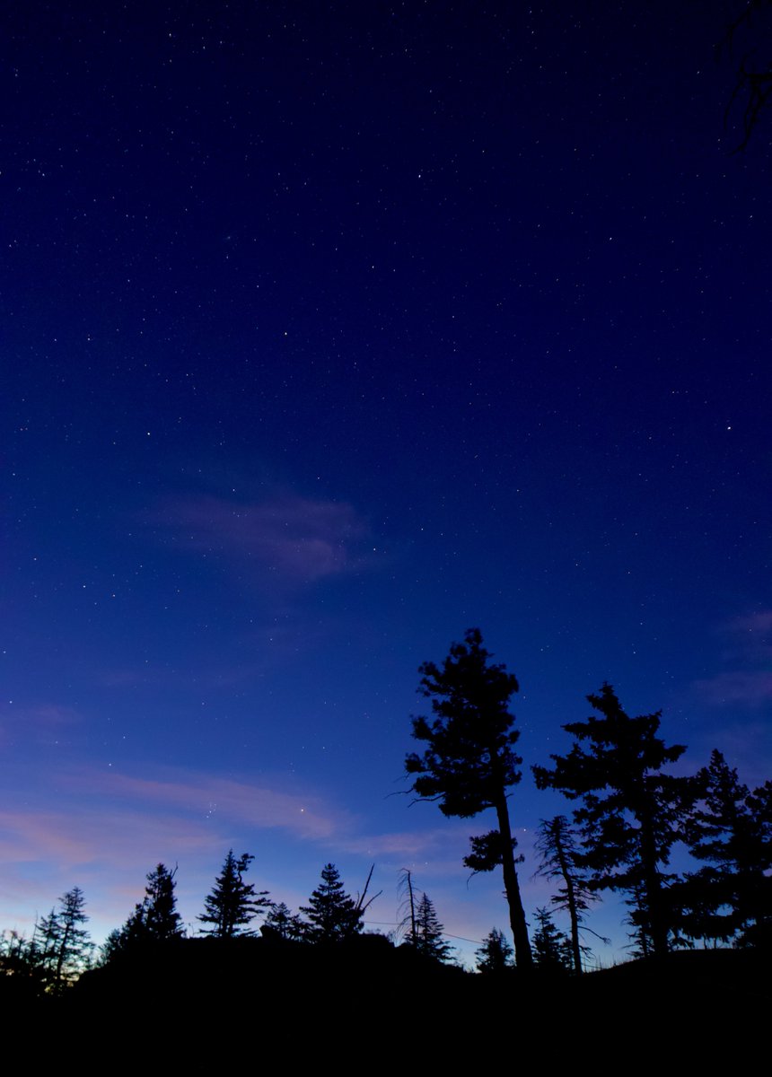 scrutacieli's tweet photo. Quando sei fuori a guardare le stelle e la notte termina quasi di colpo: cartoline dalle 4 del mattino. Un abbraccio da qui. https://t.co/IBK0eeptwc