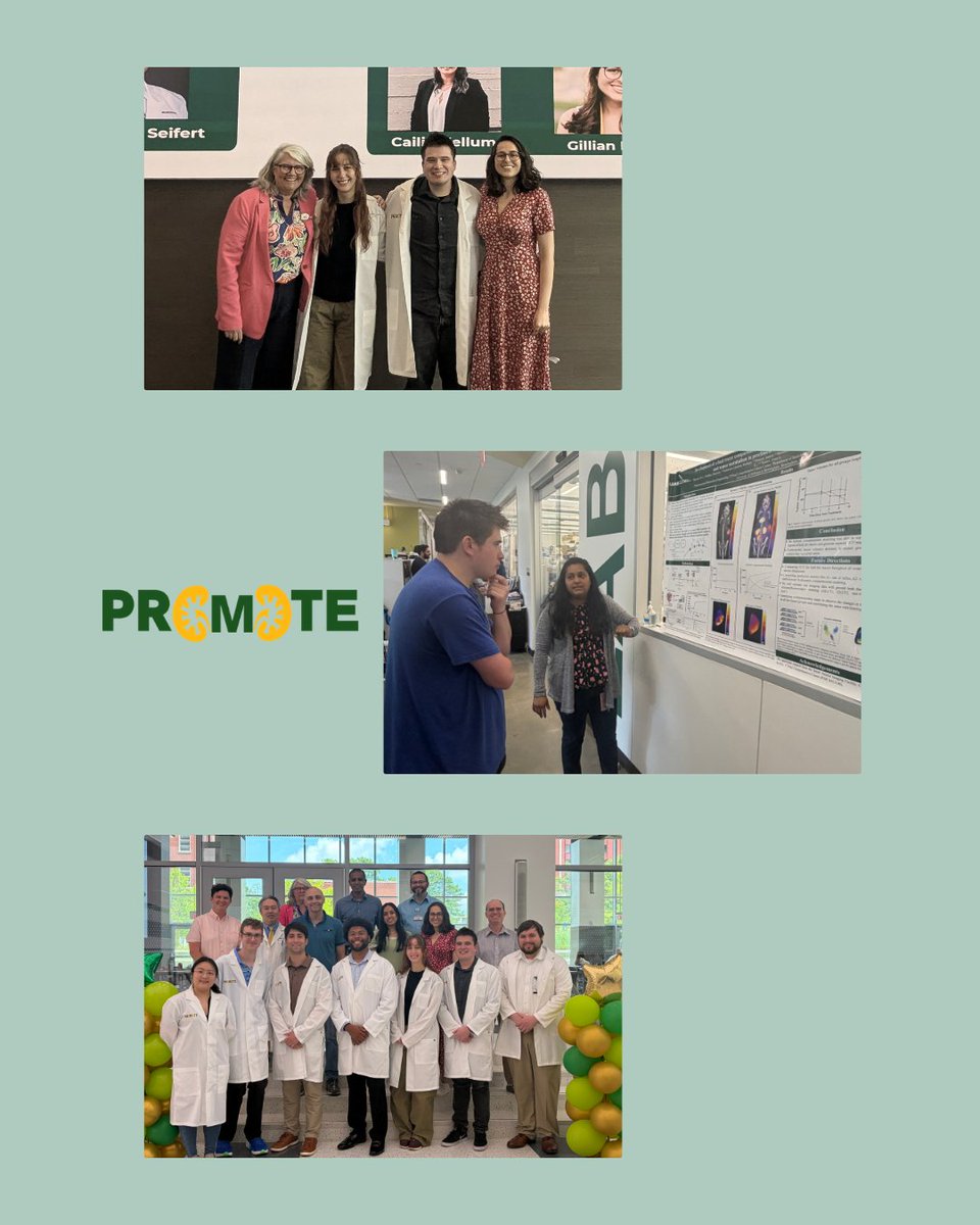 KUHPRIME's tweet photo. Our next PROmoTE scholar is Ross Dahlberg. Ross comes to us as an MD scholar, earning his degree in chemistry and physics from UAB. This summer, he is on Team Stress Busters!

 #PROMOTE2026 #kuhprime #KUHmmunity #uabpromote26 #UABKidneyScholarsProgram https://t.co/rriaGiuAW8