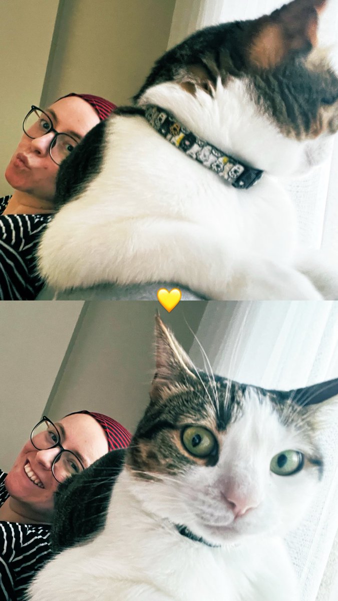 cigdemckrr's tweet photo. 💛 Asiyem. https://t.co/7NiloBasWH