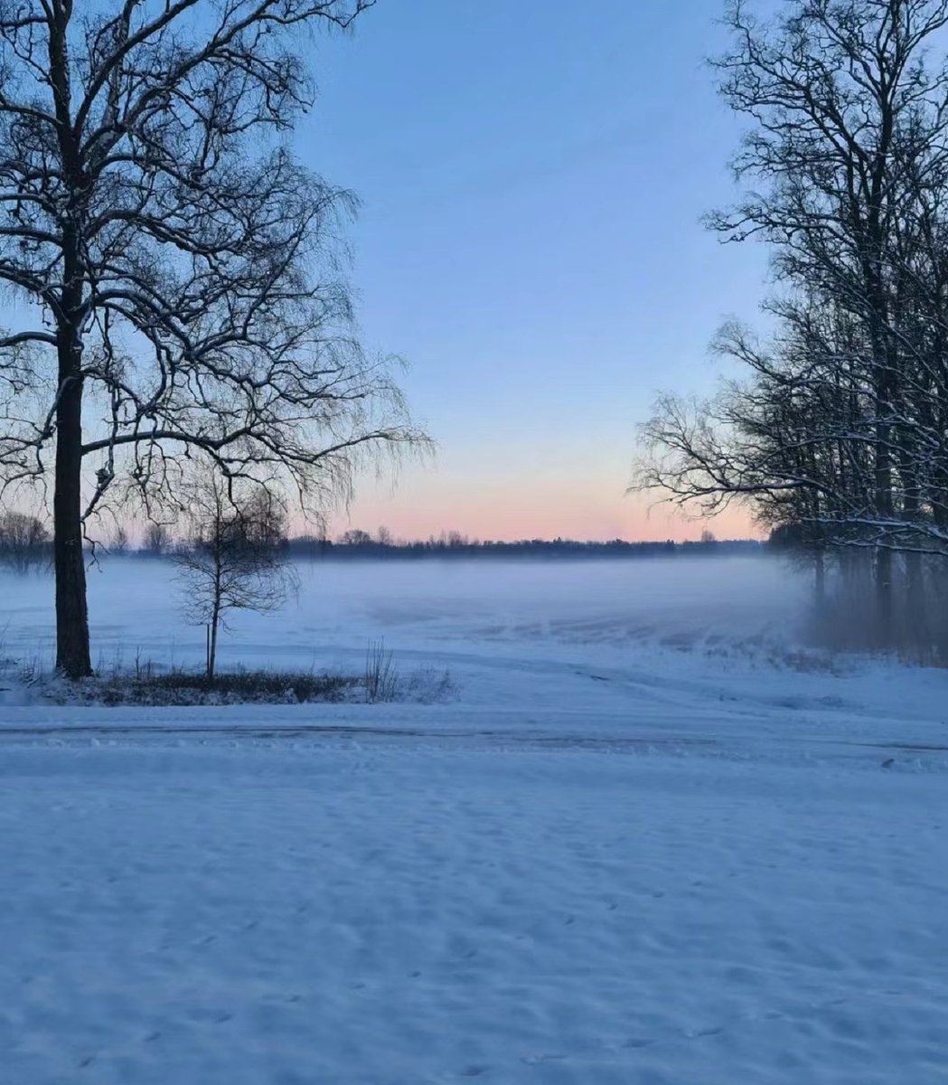 BigPeace101's tweet photo. My 2023 morning routine: hit snooze 5x → rush to work with a cold coffee. 2024: wake up at 7, make homemade oatmeal, read 10 pages before leaving. Small shift, big vibe upgrade https://t.co/K3efw9en7M