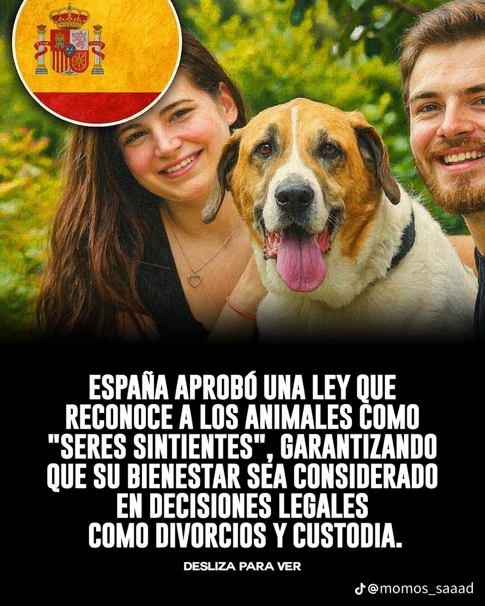 venevento's tweet photo. https://t.co/VnSna4N8MJ