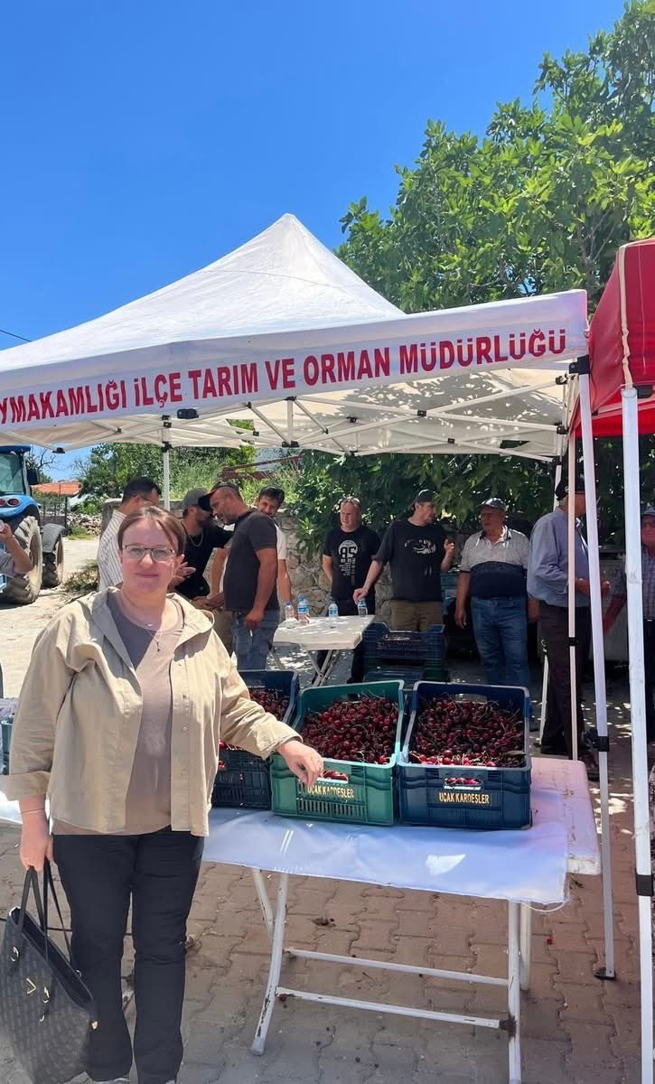 KBorsasi's tweet photo. 🍒 ÇERİBAŞI KİRAZI HASAT ETKİNLİĞİ 🍒

Yönetim Kurulu Sayman Üyemiz Fahri Karagöz, Genel Sekreterimiz Emine Kaymak ve Muhasebe Memurumuz Mehmet Emek ile birlikte Çeribaşı Kirazı Hasatına  katıldık

tüm üreticilerimize hasat sezonunun bereketli ve bol kazançlı geçmesini diliyoruz. https://t.co/1ZtGtEBTSk