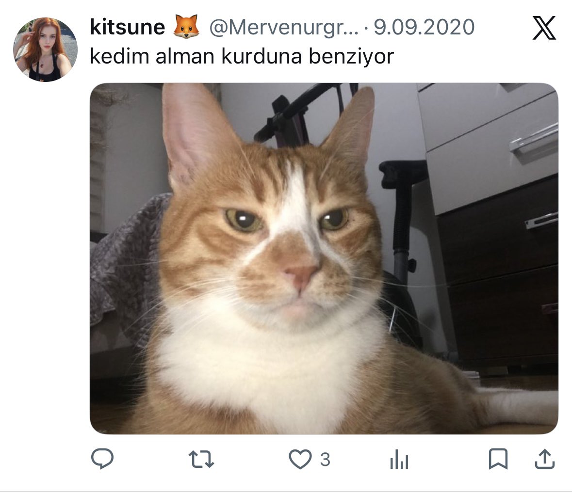 Mervenurgrbz's tweet photo. aşık olunca bizim gözün kör oluş https://t.co/VDySVtPnL6