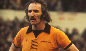 WolfWhoWanders's tweet photo. #wwfc https://t.co/F1okWH98DO