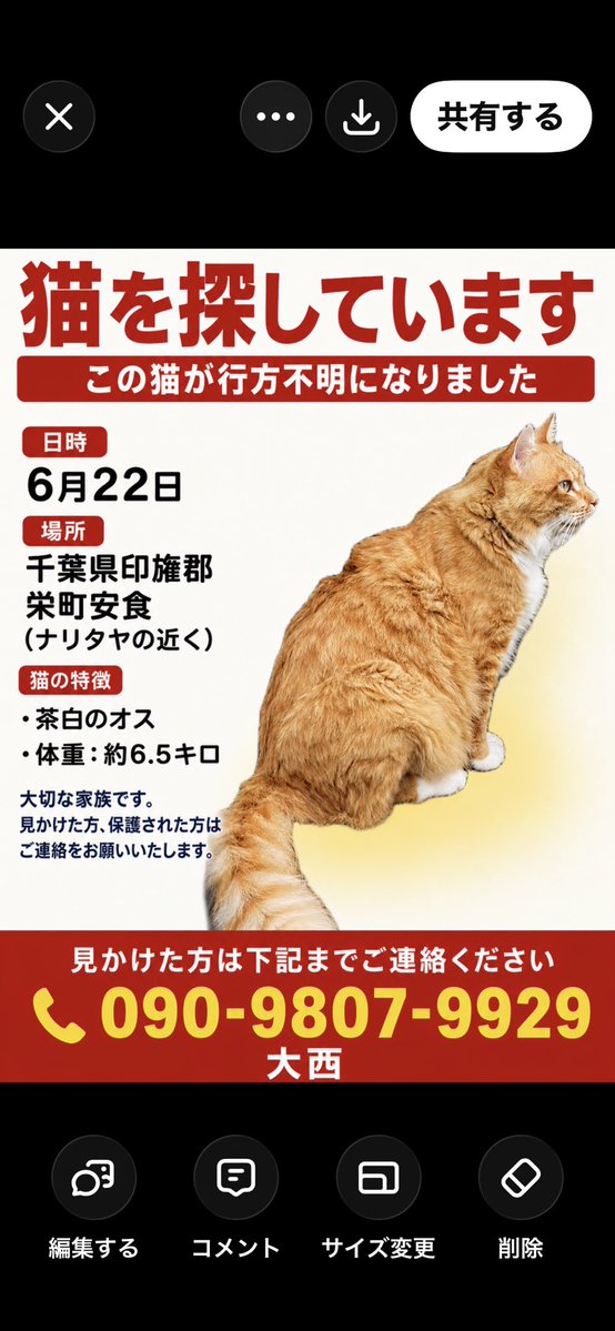 agohachikun's tweet photo. 猫が行方不明になりました。
日時、6月22日(月)15時頃
場所、千葉県印旛郡栄町安食(スーパーナリタヤの近く)
柄、茶白のオス
体重、約６.５キロ
名前、れお
性格、知らない人を見ると逃げます
見かけた方は下記までご連絡ください。
連絡先、090-9807-9929
飼い主、大西

#迷い猫
#ねこ
#招きねこの会 https://t.co/86uSZhTk6S