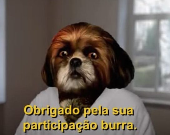 Pedro Oliveira tweet media