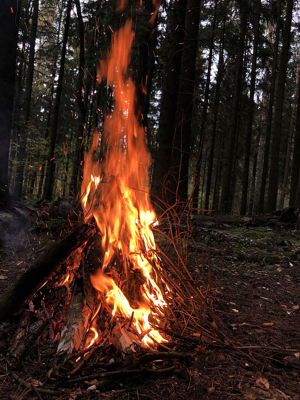 yyaanchik's tweet photo. Woke up to mountain mist, s'mores by the fire, and no city noise—this camping hit different. Pure peace u0026 fresh air https://t.co/XuZ2R8dVH7