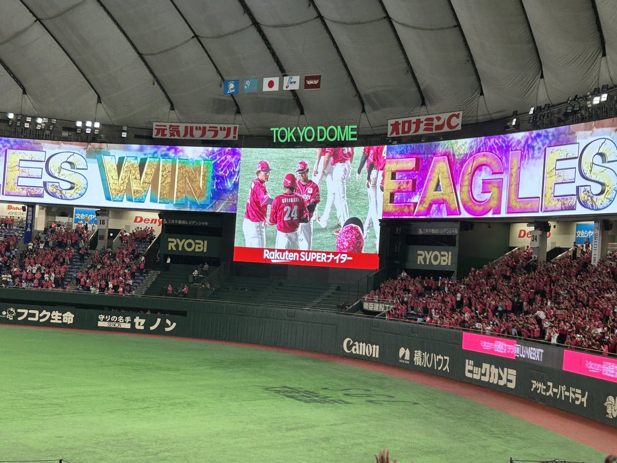 kt322chain's tweet photo. 現地わしほー😭🦅🩷 https://t.co/i0D26WTrM1