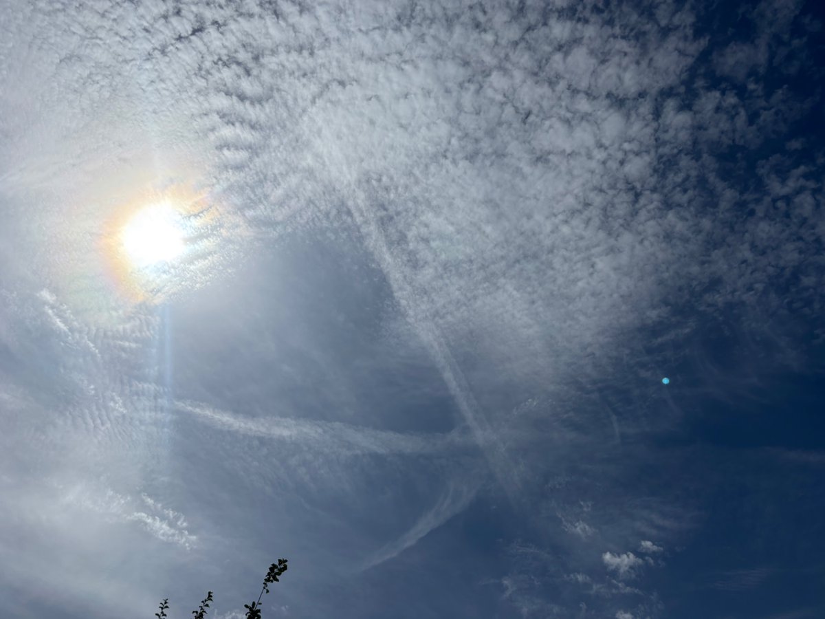 scam_demic's tweet photo. If you can’t see this is a rancid fake geo engineered sky then can you even call yourself conscious? 

#GeoEngineering
#chemtrails
#SunBlocking
#CrimesAgainstHumanity
#ClimateScam https://t.co/FZ3fuw5yXu