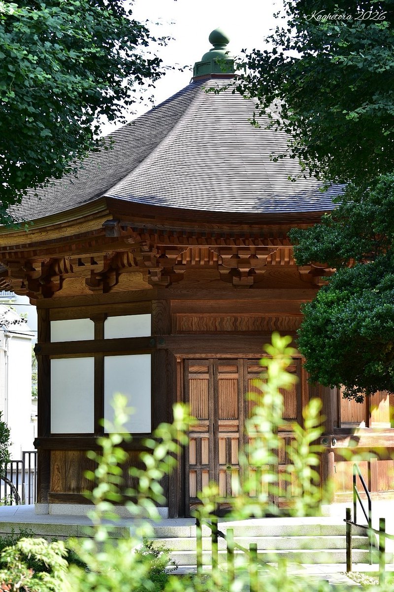 越後の龍 tweet media