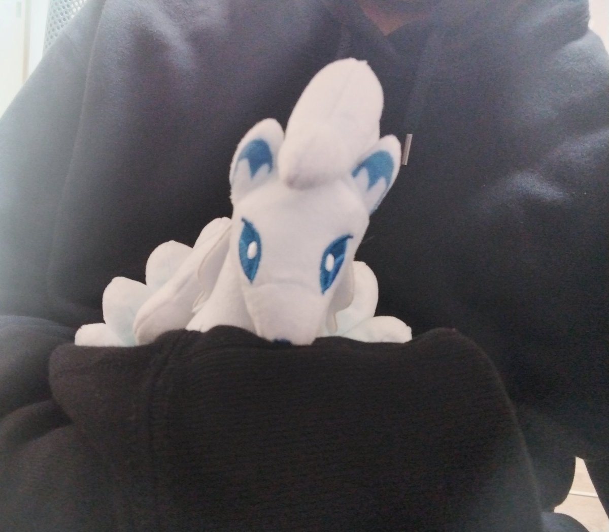 _Alcana_2's tweet photo. 【固定用自己紹介】
あるかにゃんです
こう見えて♂の高校生です!!
ポケモンユナイト、プロセカ、スタレあたりやってます!!
アローラロコンとアローラキュウコンが最推し♡
下の写真は人生初めて内カメで撮った推しとのツーショットです https://t.co/O7F77cuqmr