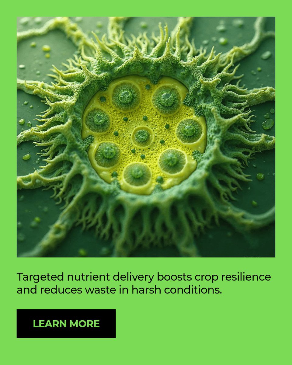 nanoferts's tweet photo. Why precision feeding matters in hot, dry, unpredictable weather: precise nutrient management helps crops stay resilient, saves resources, and lowers environmental impact. Learn how smart feeding supports sustainable, productive agriculture. #greenkeeper #coursemanager https://t.co/T6BUqsFpa9