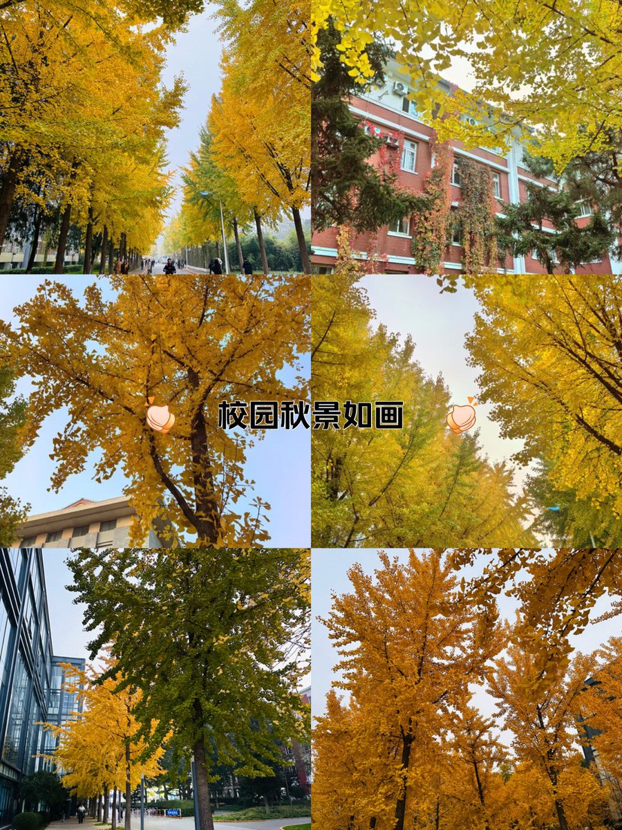 PrijotF's tweet photo. Our campus photography club is holding a free outdoor photo walk this Saturday 9AM at the central square! Beginners and pros all welcome—bring your cameras or phones, let’s capture autumn vibes together! ， https://t.co/OiBf0tuv4t