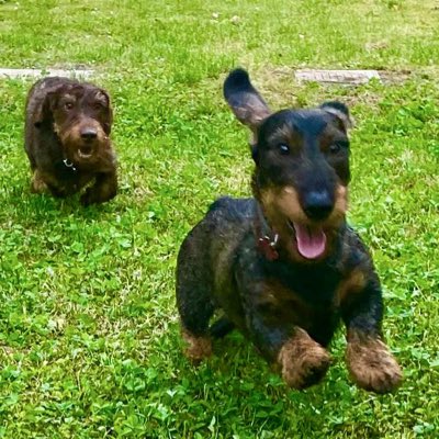 MaxGarg1962's tweet photo. #NuovaFotoProfilo https://t.co/aZoXZ7G0Hk