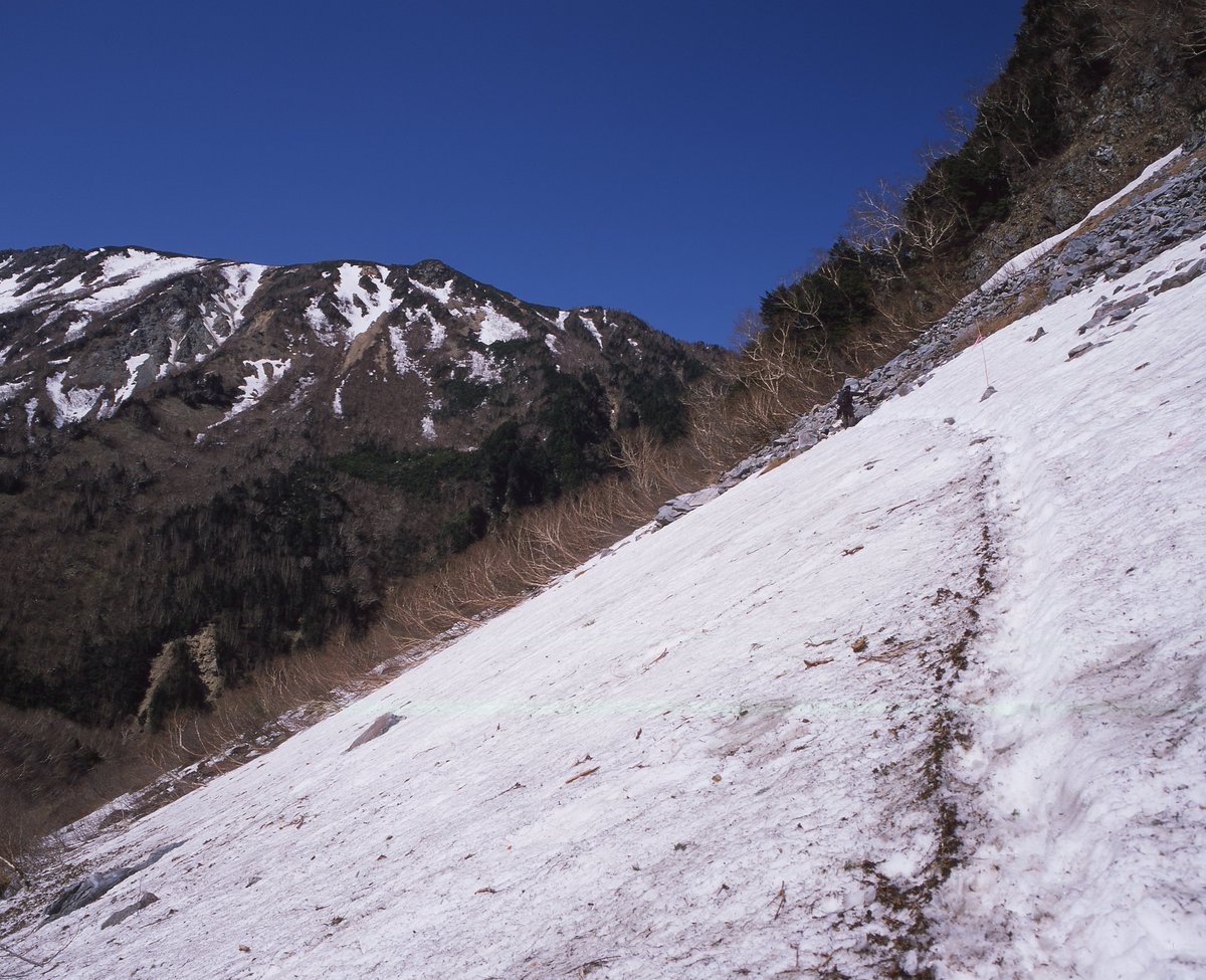 Johnny_trs's tweet photo. もう1か月前だけども…
積雪の涸沢はこの時期しか簡単に行けないので軽く⛺で。上高地から徳沢あたりはニリンソウがいっぱい。

しかし涸沢近くのガレ場から下って直登させられるとは思いもしなかった😂
2026/5/18 上高地から涸沢へ #PENTAX 67II プロビア/RDPIII https://t.co/cBdEIpZE36