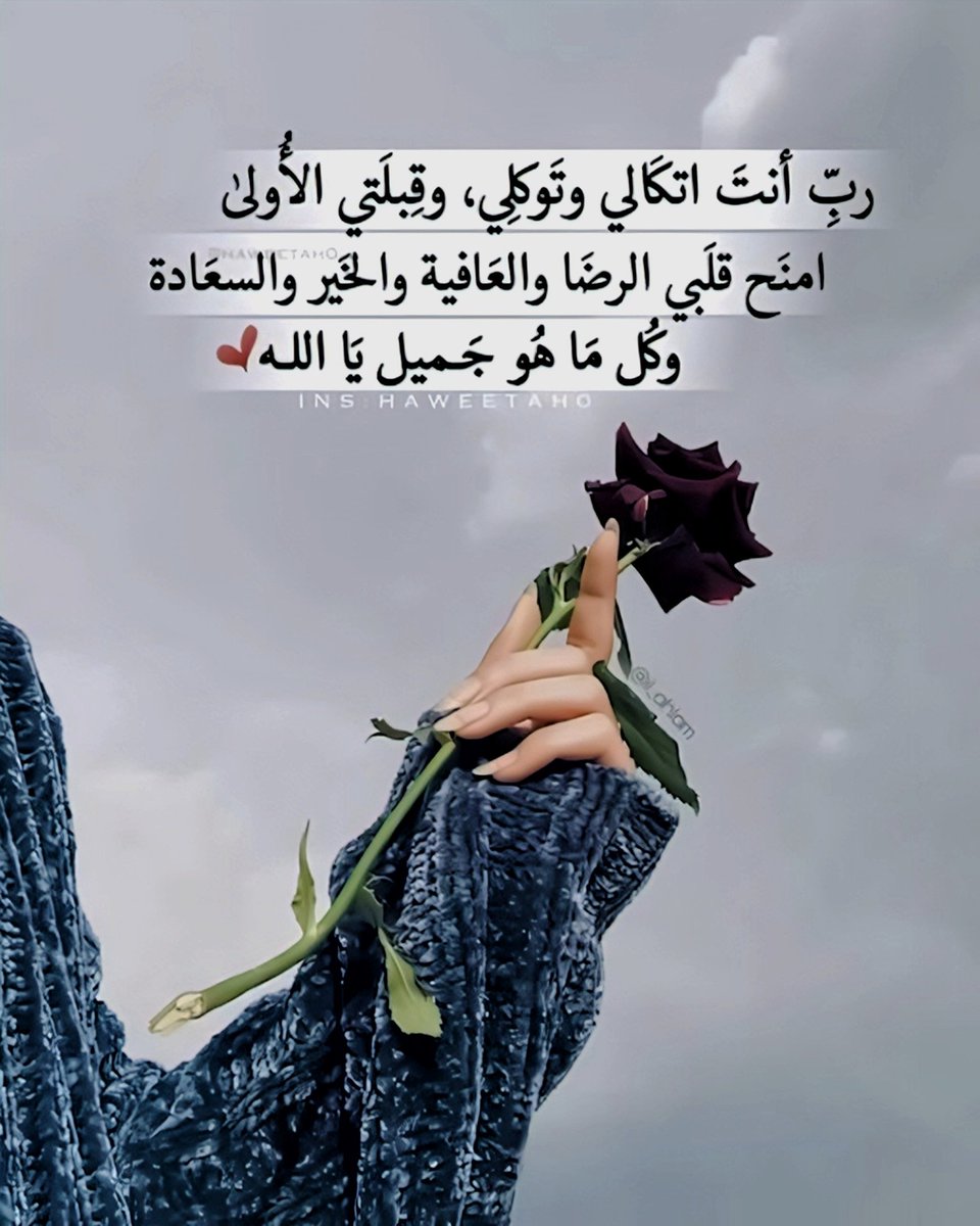 🦋ريتاج🦋 tweet media