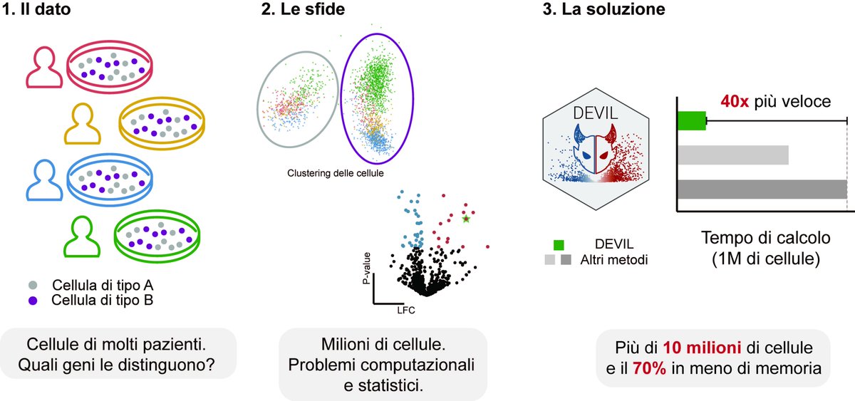 AreaSciencePark's tweet photo. 🧬 New paper published in @NatureComms  
40x faster, the new tool DEVIL enables differential gene expression analysis on millions of cells with unprecedented speed and statistical rigor. 
🔗https://t.co/cZ7362RIIj https://t.co/0nzUv7GAxD