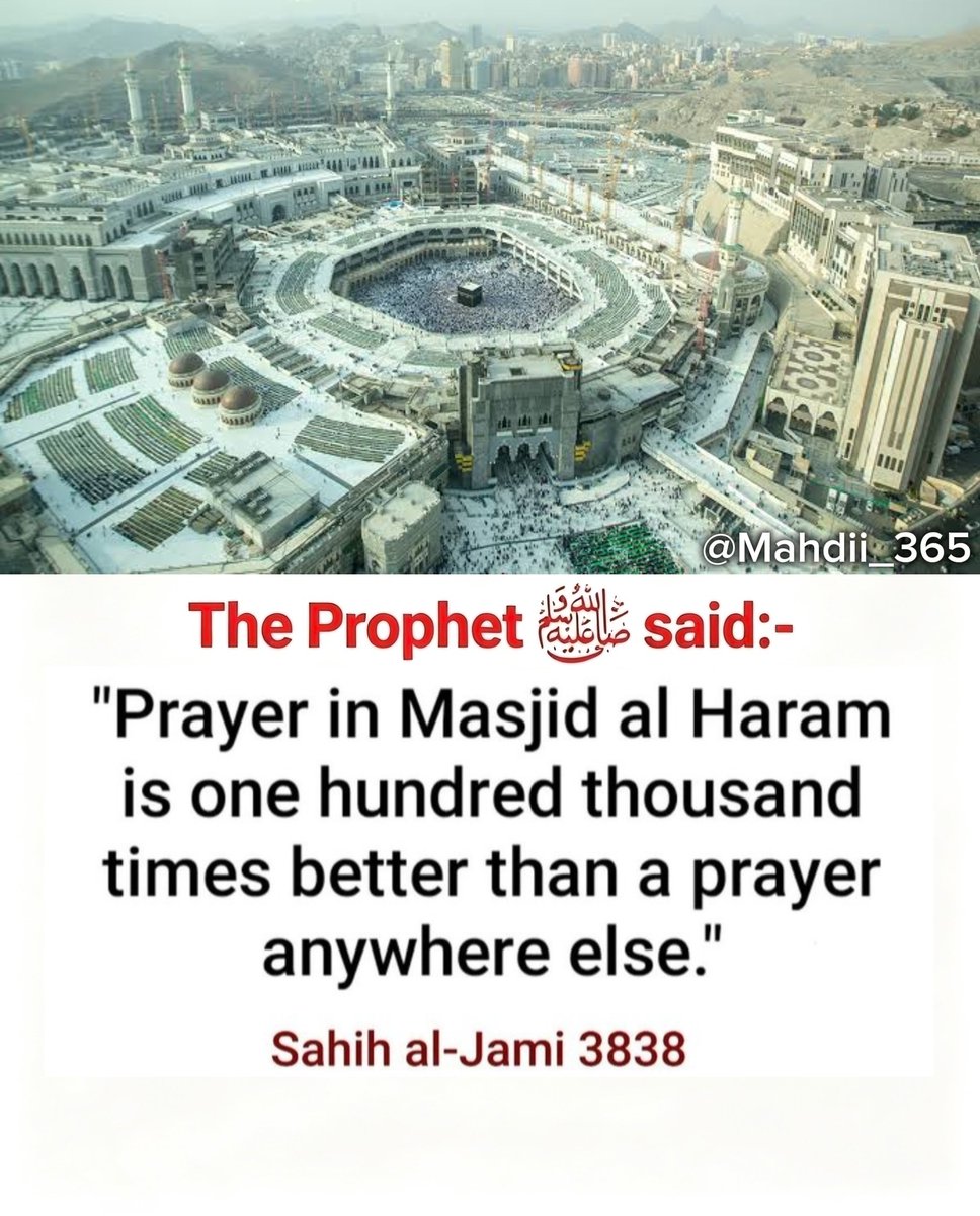Mahdii_365 tweet picture