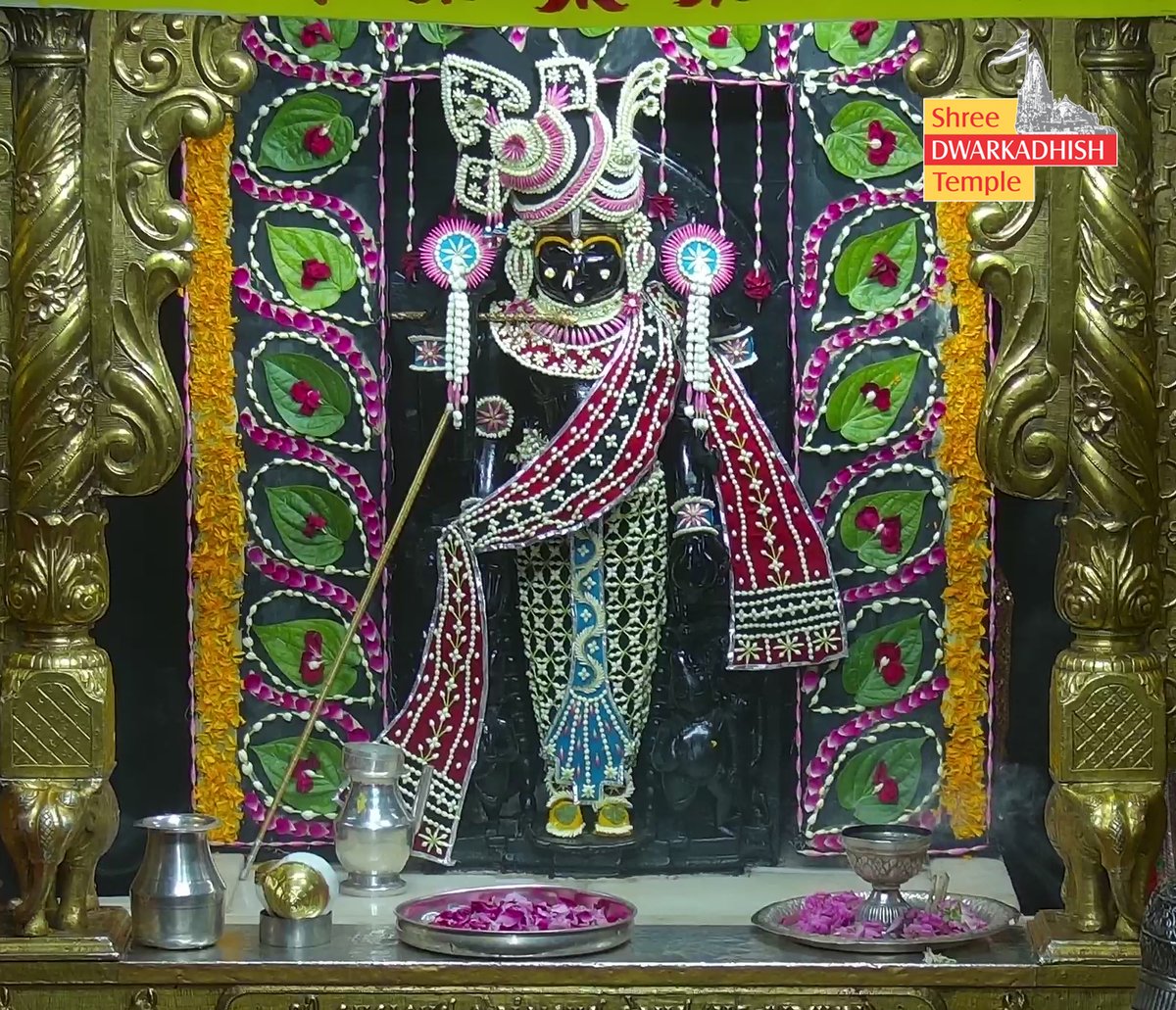 DwarkaOfficial's tweet photo. राजाधीराज द्वारीकाधीशजी के संध्या आरती एवं पुष्पशृंगार दर्शन 🙏
श्री द्वारकाधीश मंदिर द्वारका,गुजरात
दिनांक :- 22/06/2026 सोमवार    

#dwarka #sandhyaaarti #pushpshringar
#ShridwarikadhishmandirOfficial https://t.co/DTFUKQO6e8