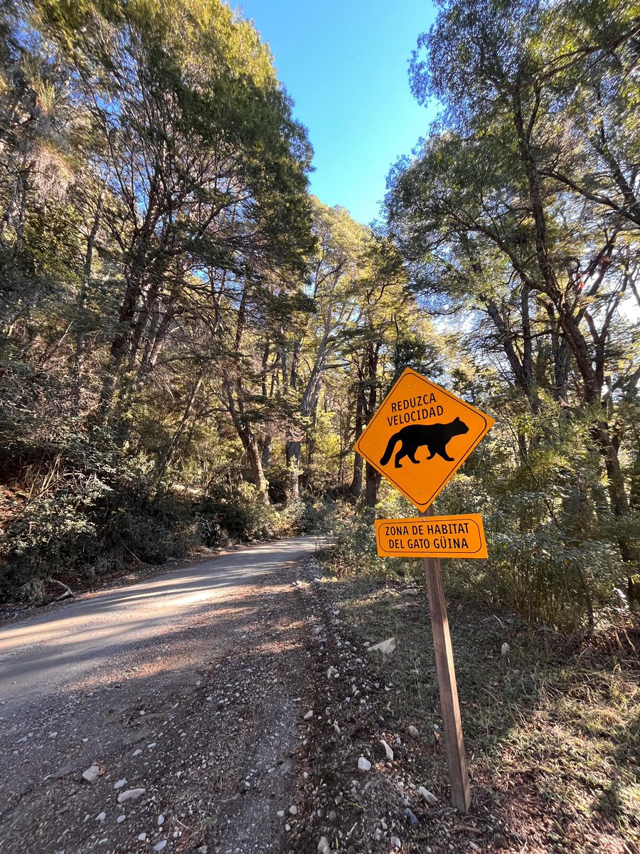 bariloche's tweet photo. https://t.co/AD93tmD9uk