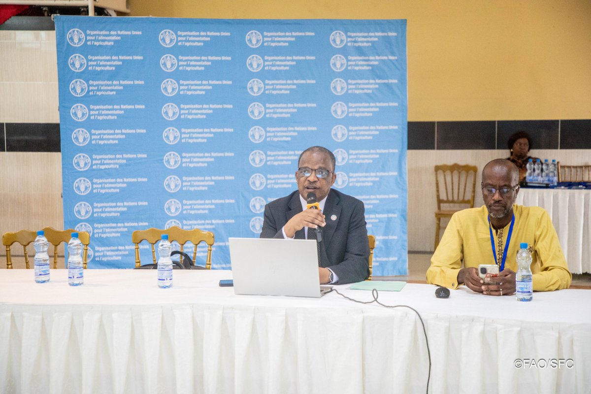 FAOAfriqueCent's tweet photo. Ouverture officielle aujourd'hui à Nkok (#Gabon) de la formation pratique sur le Cycle de Projet de la FAO et la #GestionDeProjet, en présence du Coordonnateur sous-régional #FAO pour l'#AfriqueCentrale. Trois jours d'apprentissage, d'échanges et de renforcement des capacités. https://t.co/HgUqNN4gHA