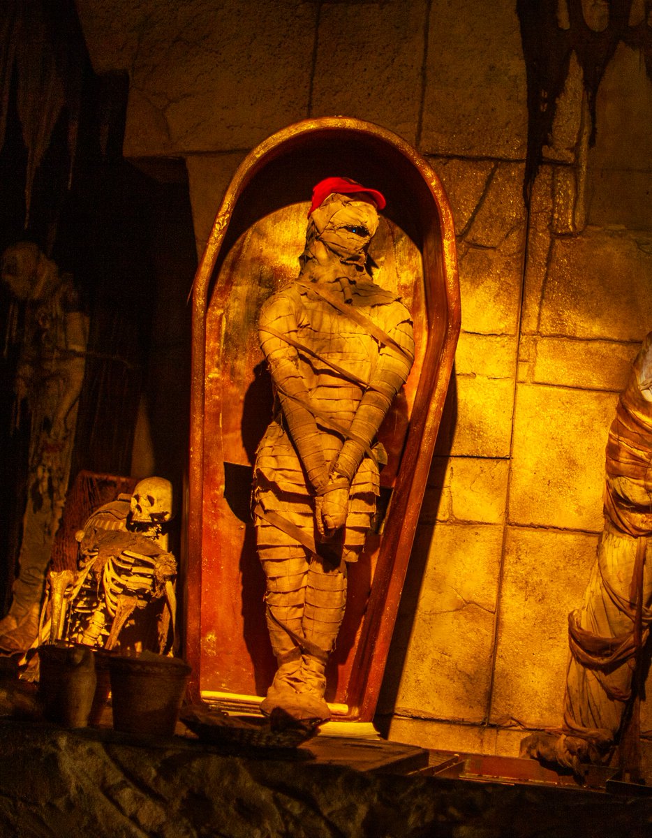 UniversalORL's tweet photo. We heard Reggie's got a cool Mummy fact for us, but he's keeping it under wraps. 😉 https://t.co/O01YAkNR7q