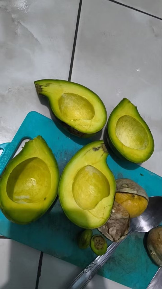 alelyumi's tweet photo. percaya engga buah alpukat secakep ini cuman 20rb/kg ? https://t.co/t39KM6T9Zk