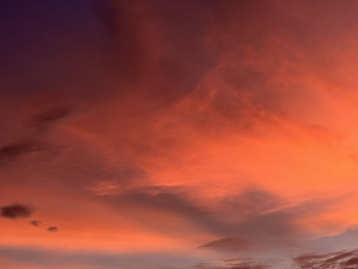 N1Soliloquy's tweet photo. Meanwhile, the sky was busy painting poetry. https://t.co/OywRoD1GsD