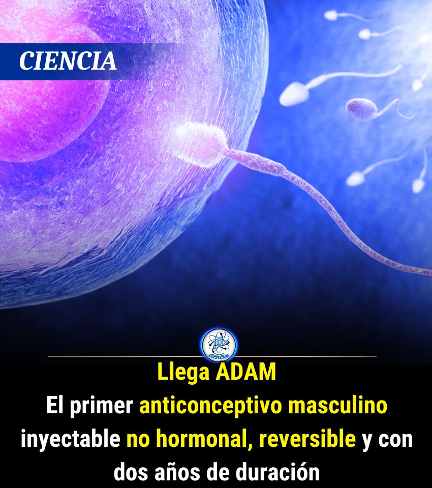 EnsedeCiencia's tweet photo. https://t.co/Gav8bcOd3z