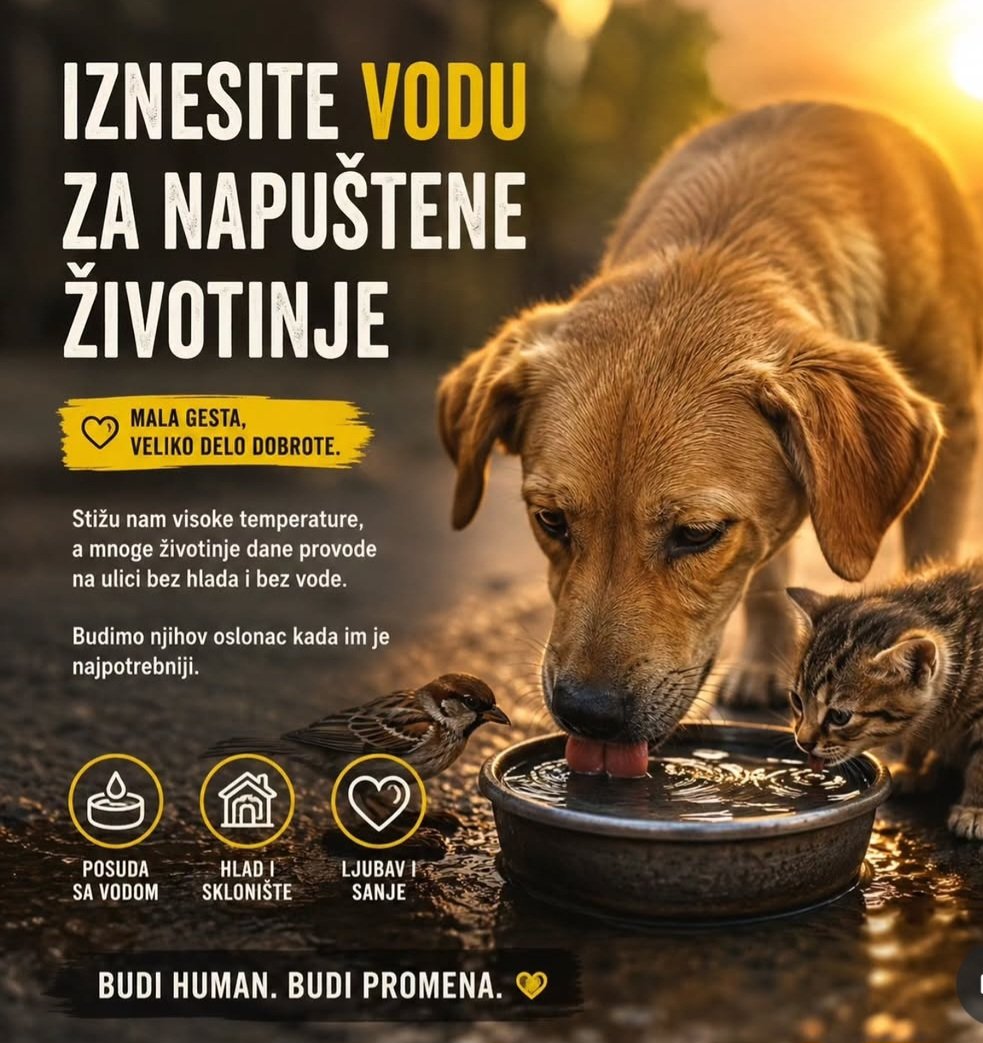 ♥️Zvončica♥️🧚♀️👠💄 tweet media