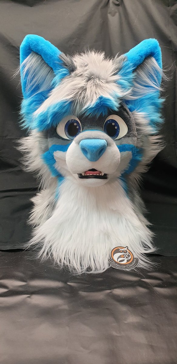 whitewingsuits's tweet photo. @SpectrieWusky Hallo Spectrie, dein Fuchsbruder hat mir das als Vorgabe gegeben.
Ich arbeite nach Ref und Absprachen nach Kundenwunsch, es liegt mir fern zu vervielfältigen. Die Farben sind ziemlich gleich viele haben Electric blue und grey frost in Ihrem Suit anscheinend mögen es viele https://t.co/pYkdmPWlIT
