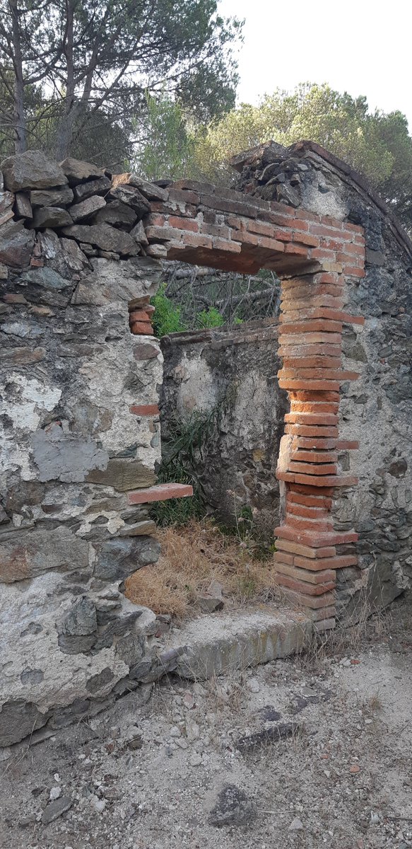 Dani_o_Daniel's tweet photo. Restes d'una barraca, probablement de les vinyes de la Torre dels Frares.
#Montcada i #Reixac
#SerraladaMarina https://t.co/bu0EDNlkWS