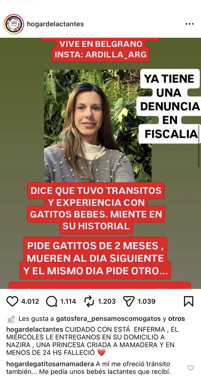 Be_witch369's tweet photo. ESTA PERONCHA HIJA DE PUTA, PIDE GATITOS LACTANTES EN ADOPCION Y LOS MATA!!! https://t.co/5K6jI7Sj1m